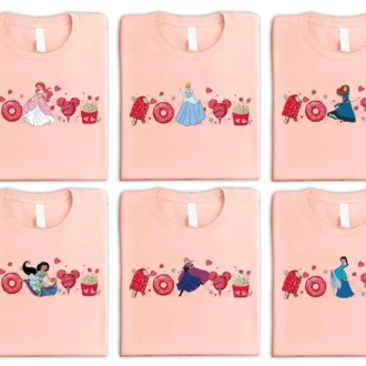 Disney Princess Valentine Matching Shirts – Aurora, Cinderella, Elsa, Belle