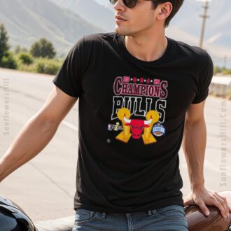 Chicago Bulls NBA Playoffs 2025 Eastern Champions Shirt - Final Bracket Winner Fan T-Shirt